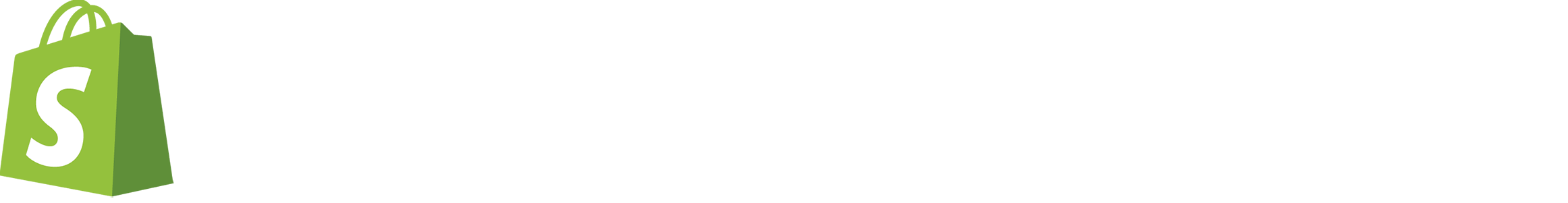Shopify Plus Partner